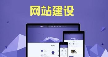 成都移動網(wǎng)站建設(shè)基本原則與推廣策略
