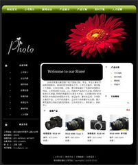 全景呈現(xiàn)精品企業(yè)風(fēng)采 數(shù)碼攝影器材公司網(wǎng)站建設(shè)全攻略